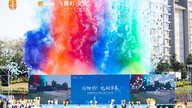 资质迷雾：机械动画公司凭什么接你的单